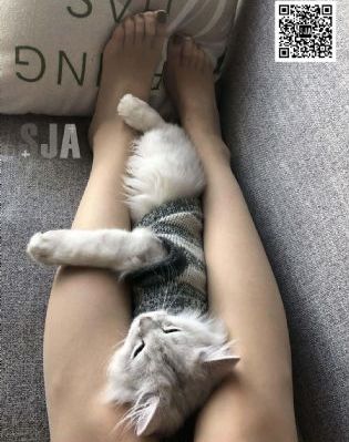黑人教练与娇妻h系列_HD日韩免费观看