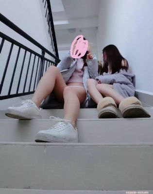 海底总动员英文版免费观看_超清手机在线观看