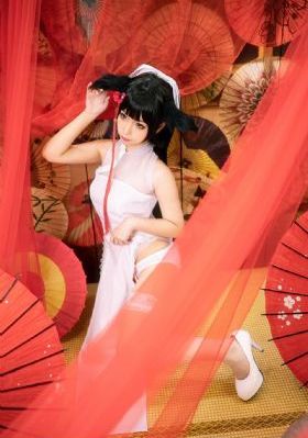 秘行要员 电视剧免费观看国语_4K在线观看完整版
